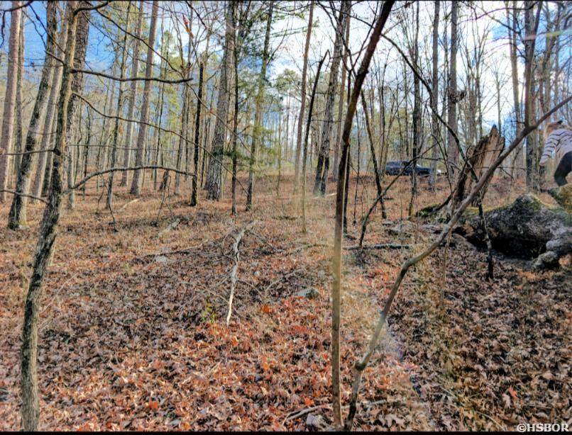 TBD Nova Lane - Photo 1