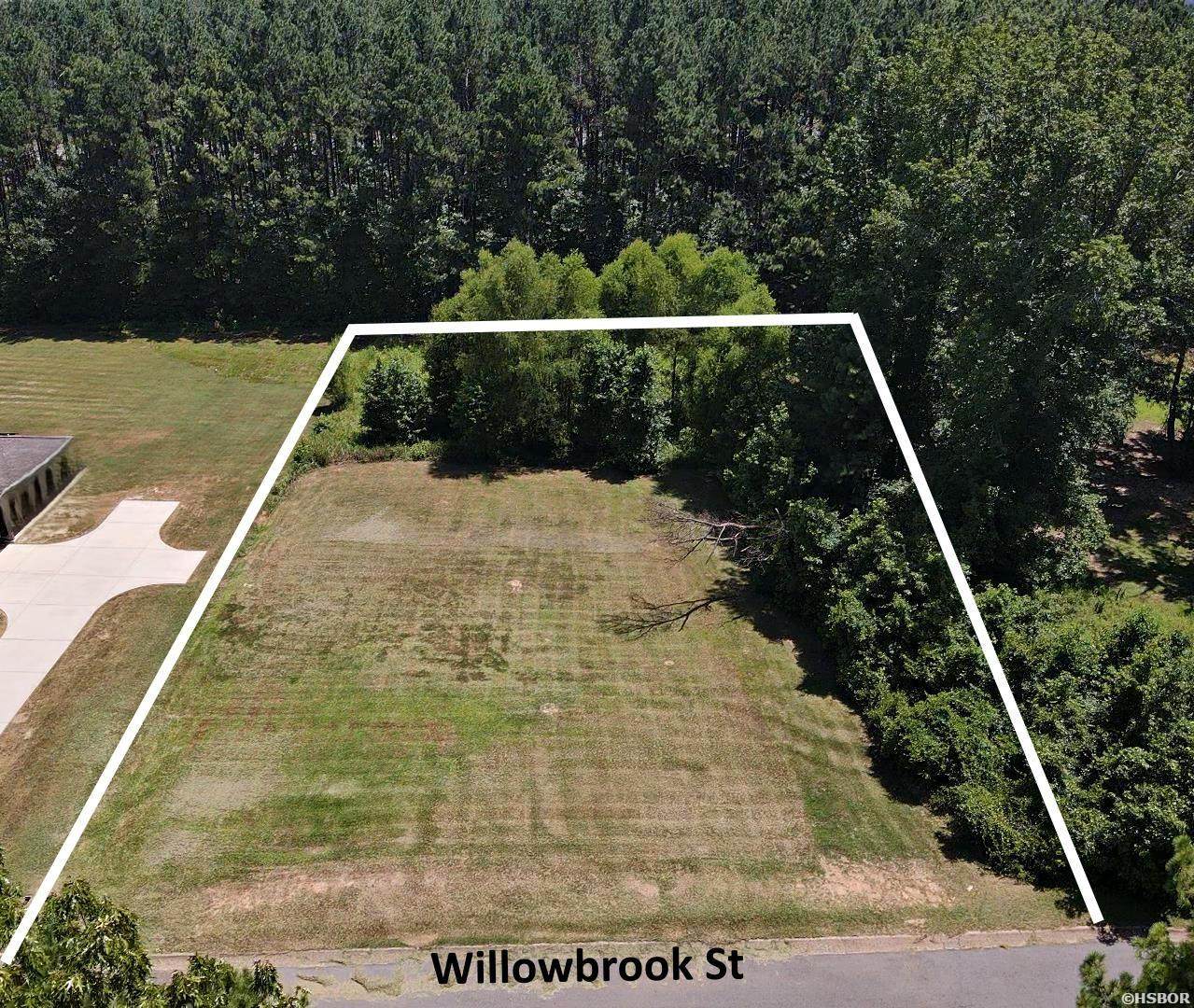 Lot 48 Willowbrook Street - Photo 1