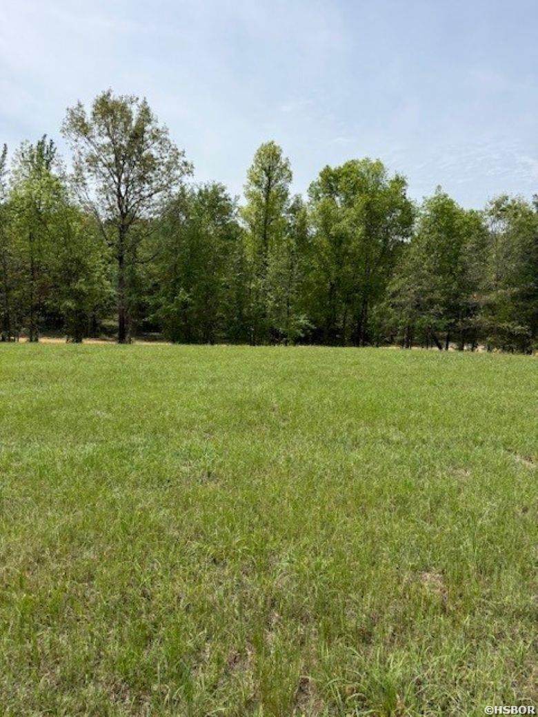 TBD Maddox Court - Photo 1