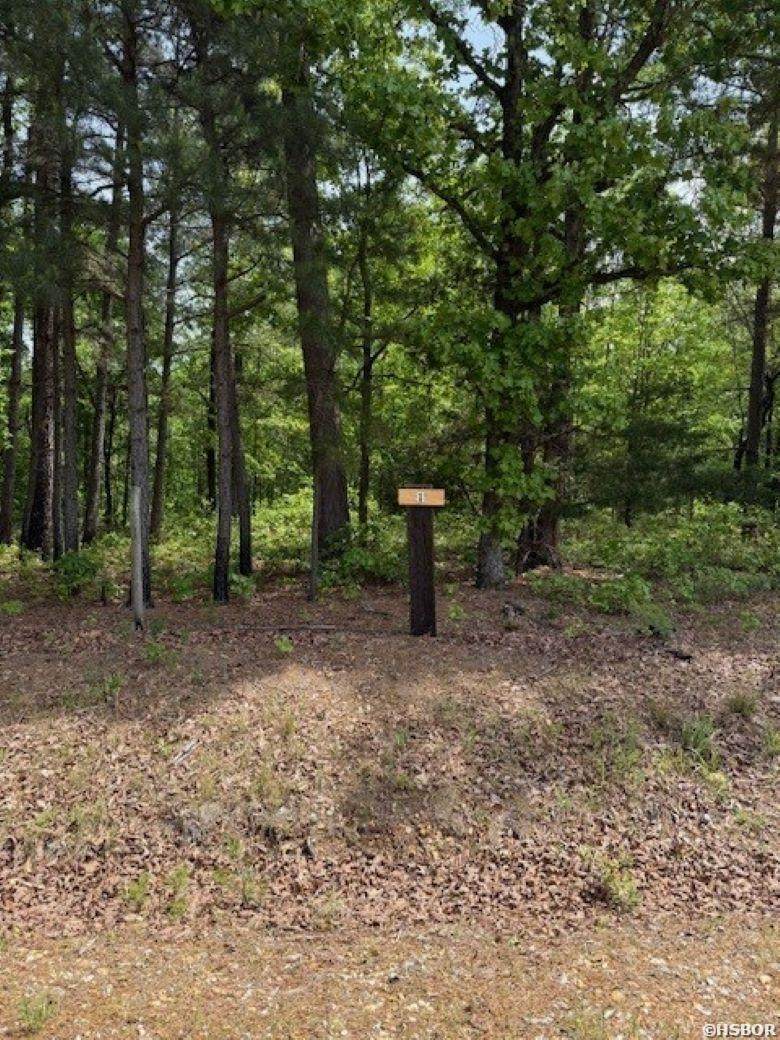 TBD Maddox Court - Photo 1
