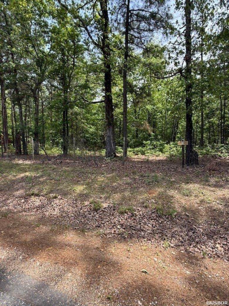 TBD Maddox Court - Photo 1