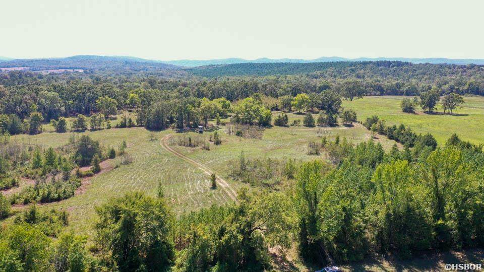 TBD Stoney Point Road - Photo 1
