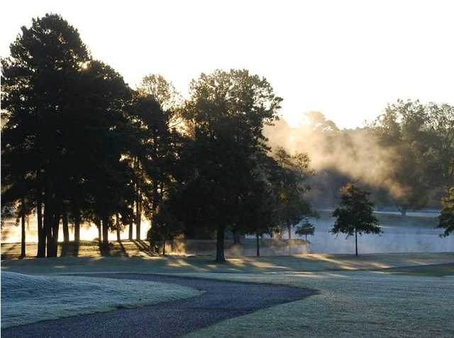 108 Arlington Park Court - Photo 1