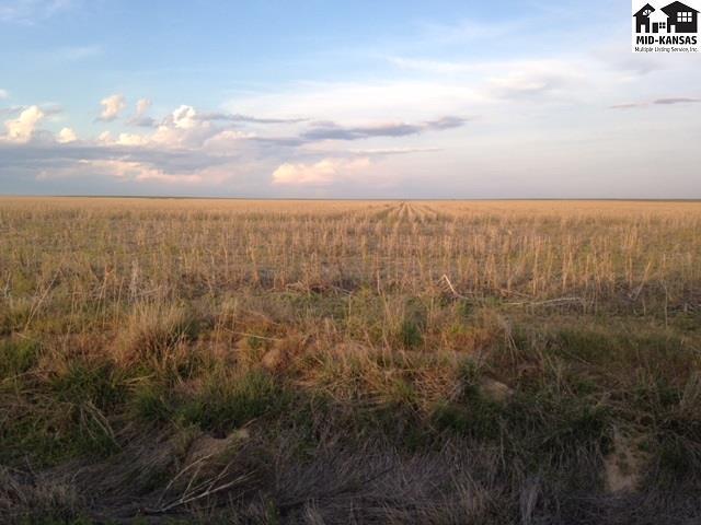 Hwy 25 Road M - Photo 1