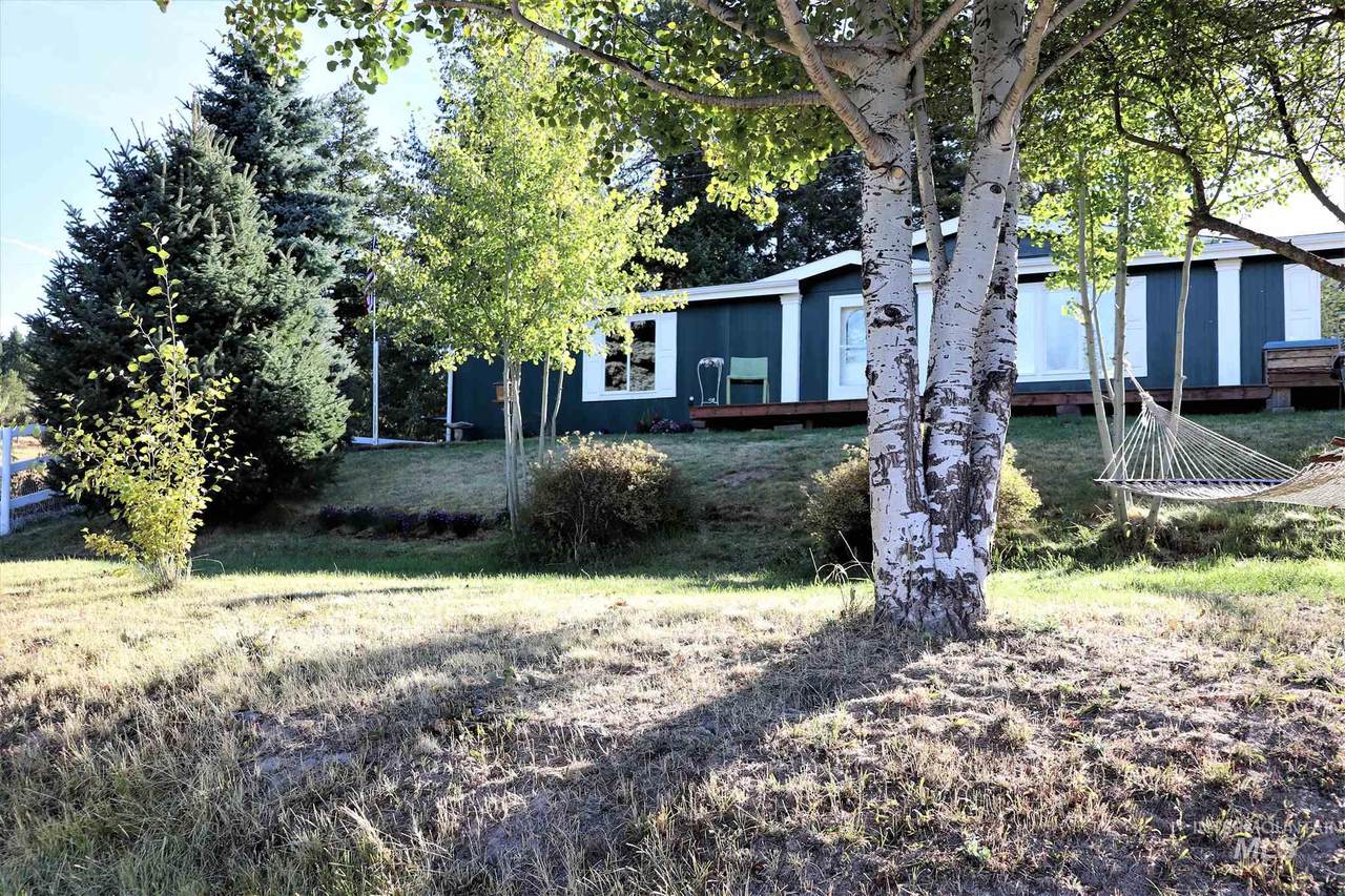 1256 Hatter Creek - Photo 1