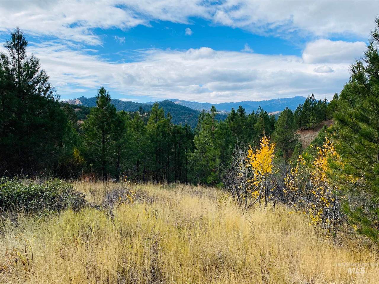 Lot 16,19 Trails End Way - Photo 1