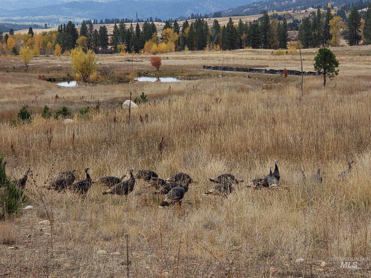 Block 7 Lot 44 Wapiti Ct. - Photo 1