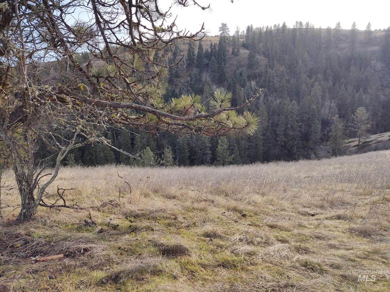 000 C Rio Vista Drive - Photo 1