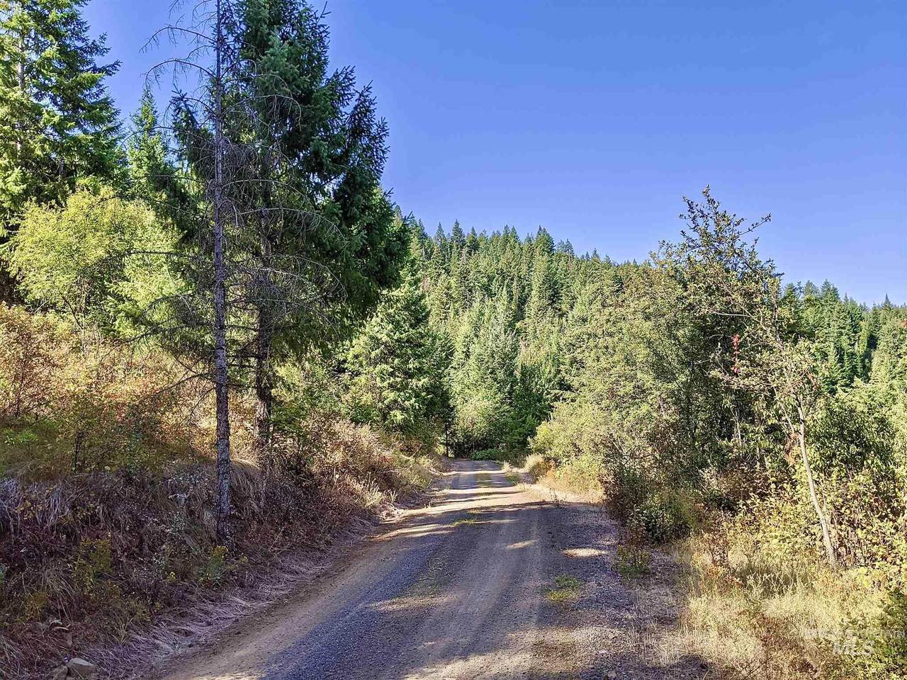 TDD Sun Mt. Rd. Parcel 2 - Photo 1