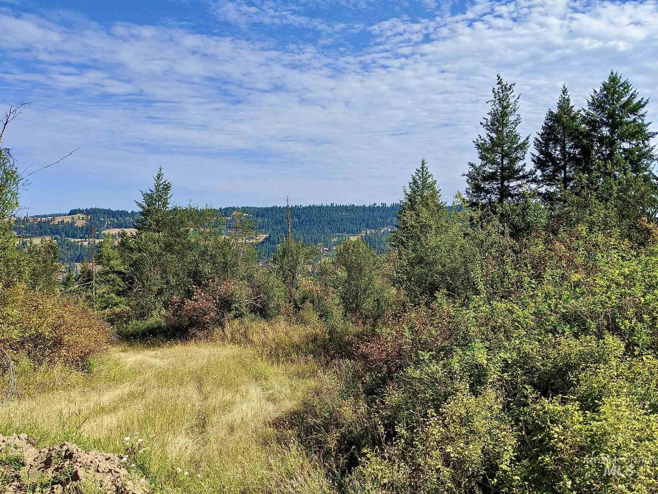 TBD Sun Mt. Rd. Parcel 3 - Photo 1