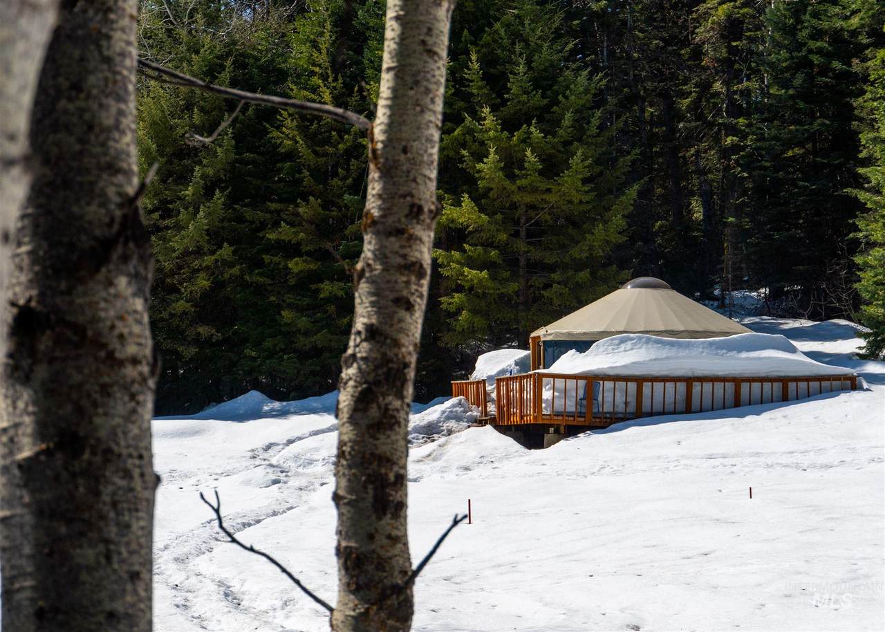 TBD Pine Trail - Photo 1