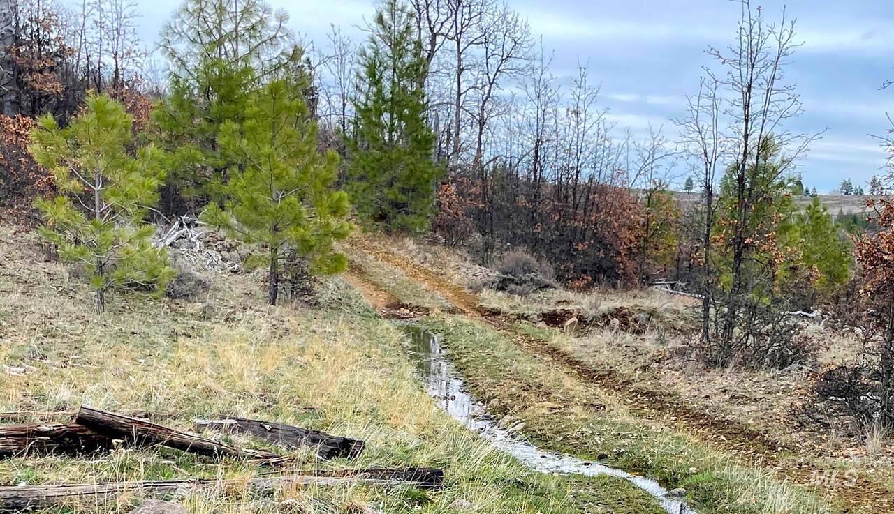 0 Bickleton Hwy - Photo 1