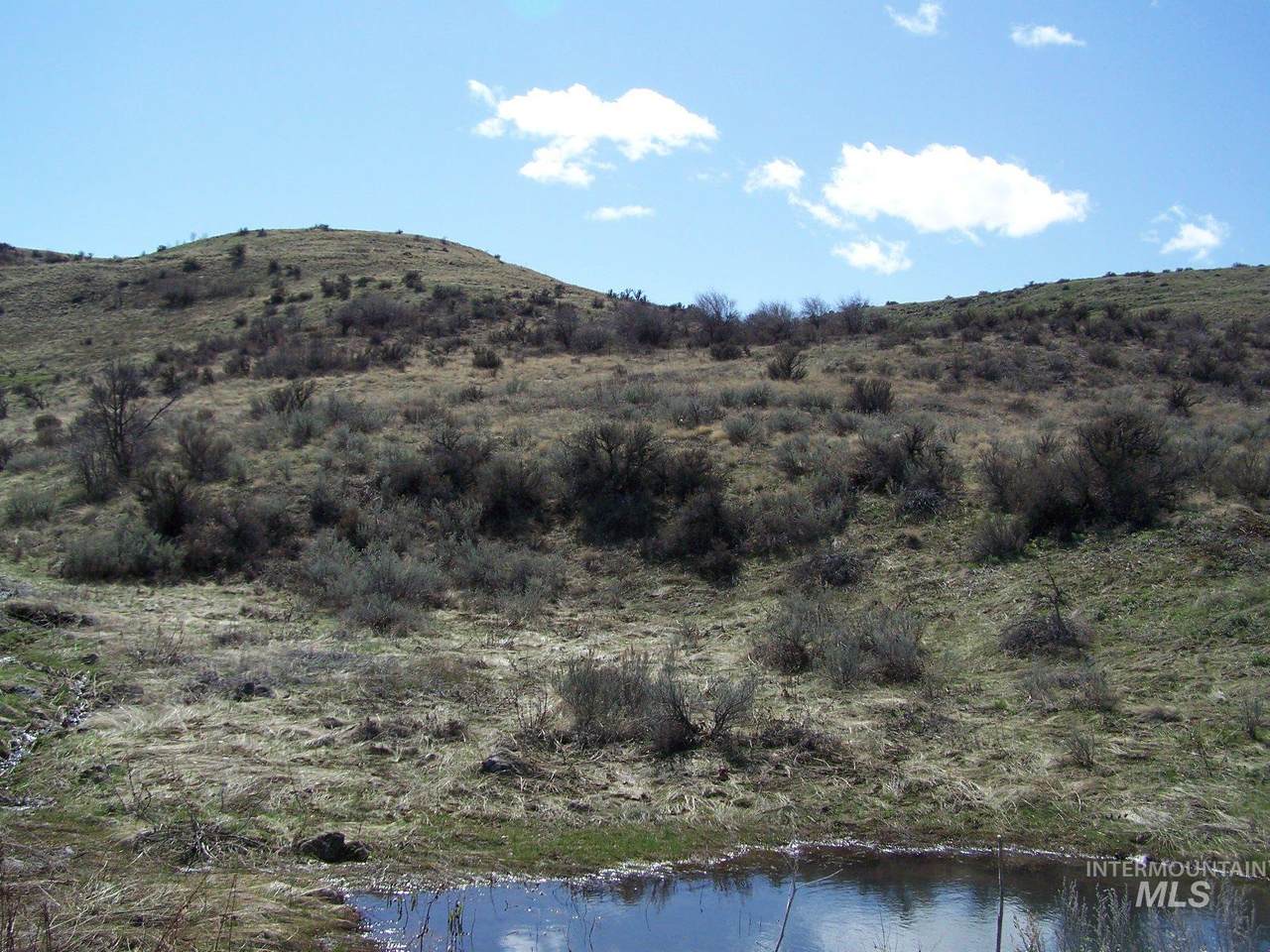TBD Goodrich Rd, Lot 43 - Photo 1