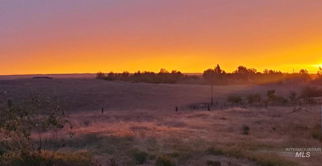 TBD Oasis Rd - Photo 1