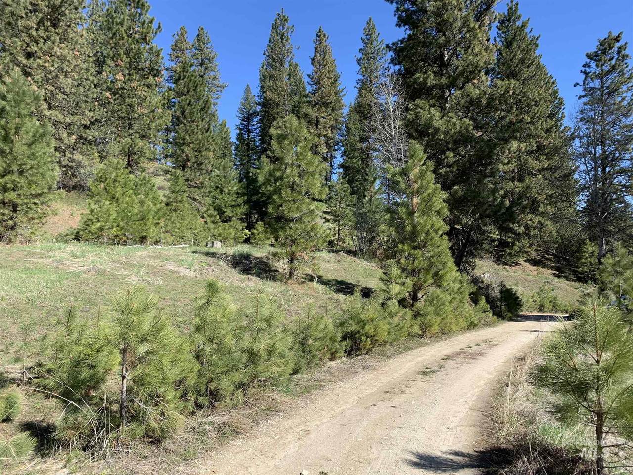 TBD Pine Heights Drive Lot 53 - Photo 1