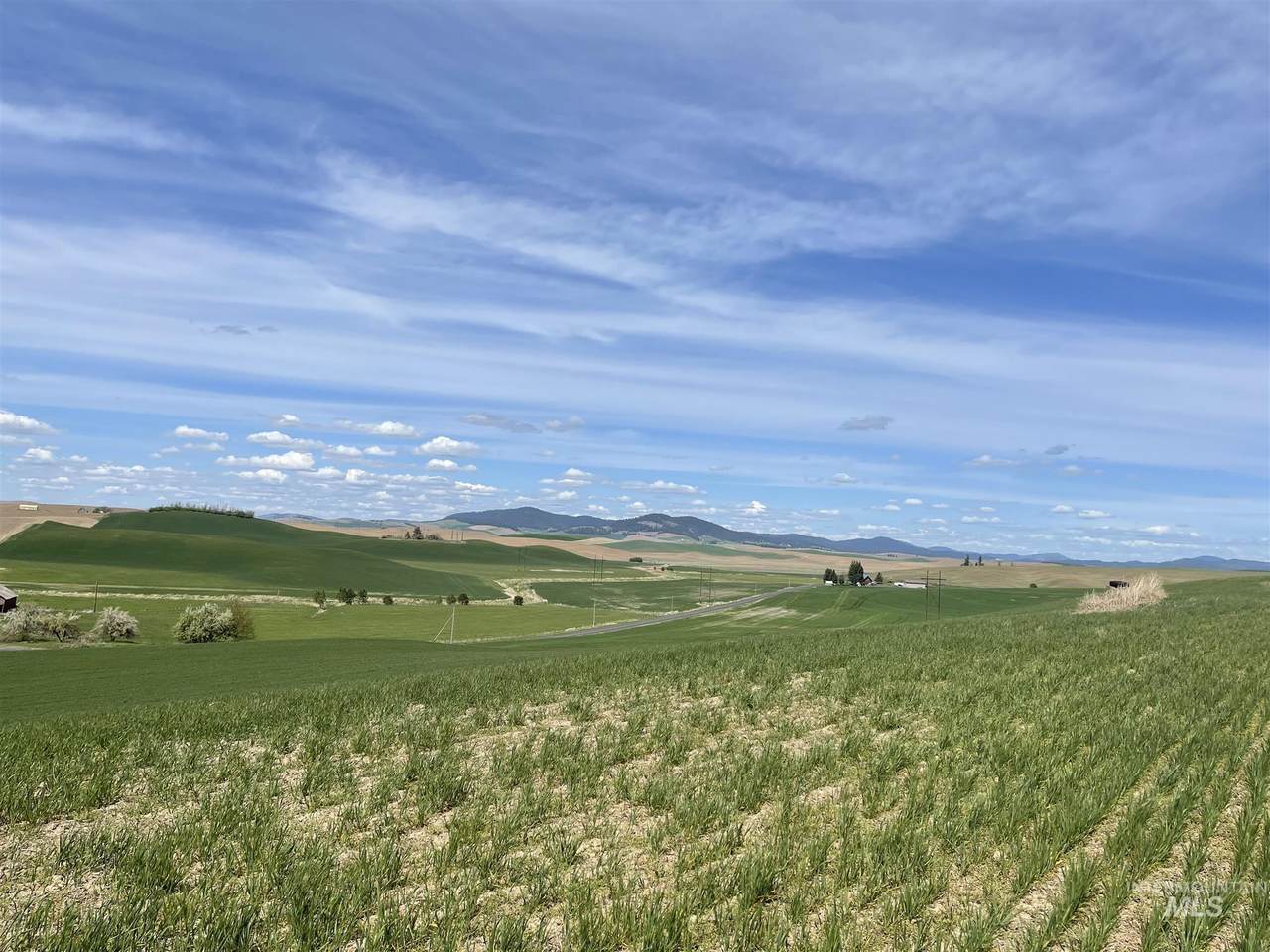 TBD Duffield Flat Rd - Photo 1