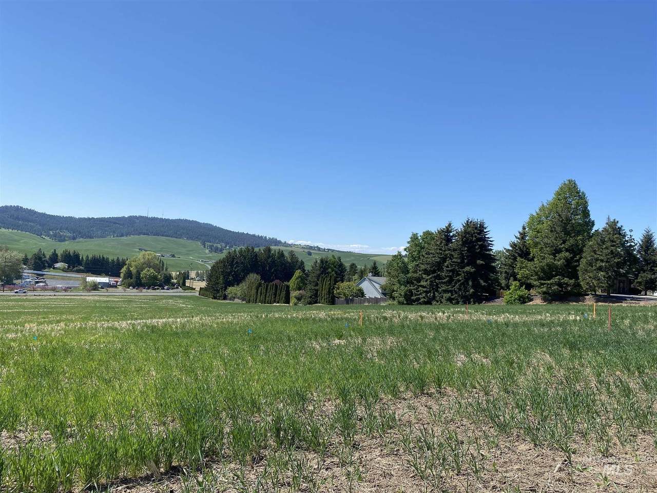 1330 Ridgeview - Photo 1