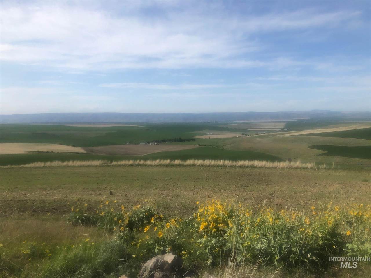 TBD (Lot 7B) Pheasant Loop Rd - Photo 1