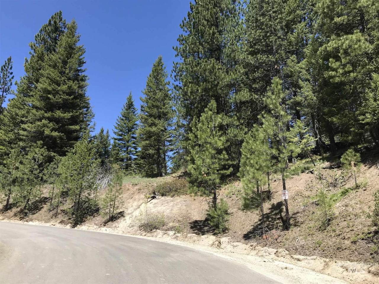 TBD Silver Fox Trail - Photo 1