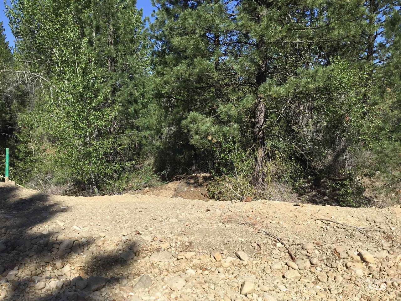 Lot 51 Lily Loop - Photo 1