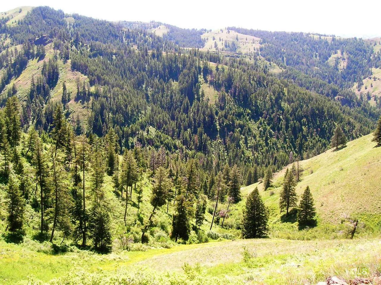 723 Deer Gulch Road - Photo 1
