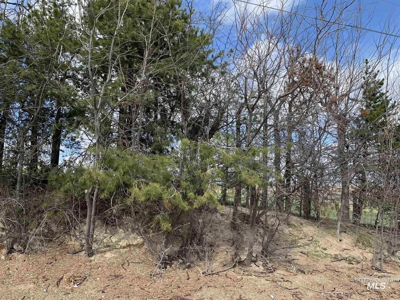 TBD Willis Parcel 1 - Photo 1