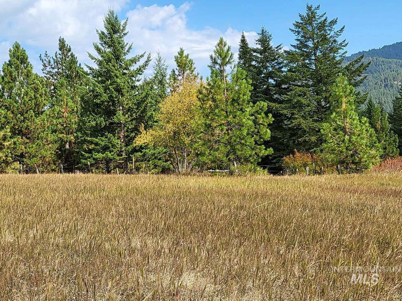 0 Hells Gulch Road - Photo 1