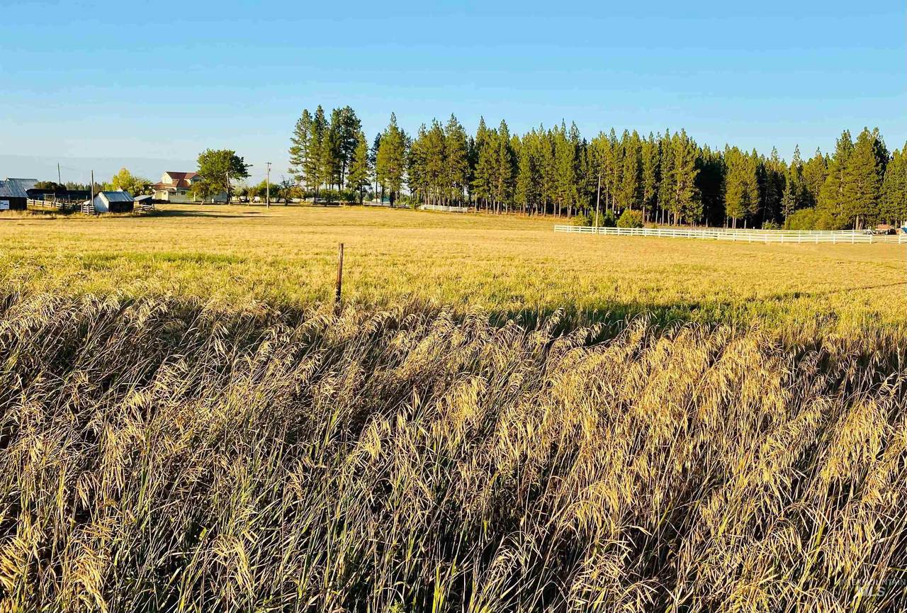 Lot 5 Fox Rd - Photo 1