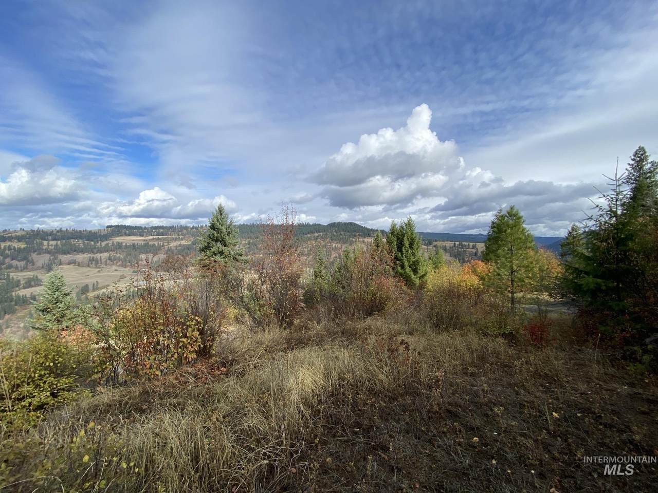 1459 Tranquil Lane - Photo 1