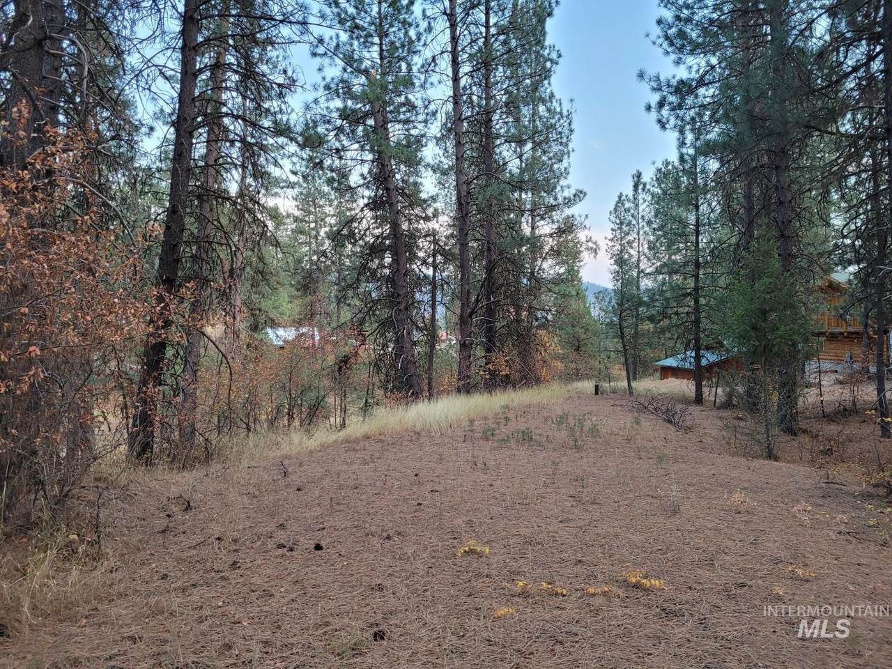 Lot 14 Scriver Creek Rd - Photo 1