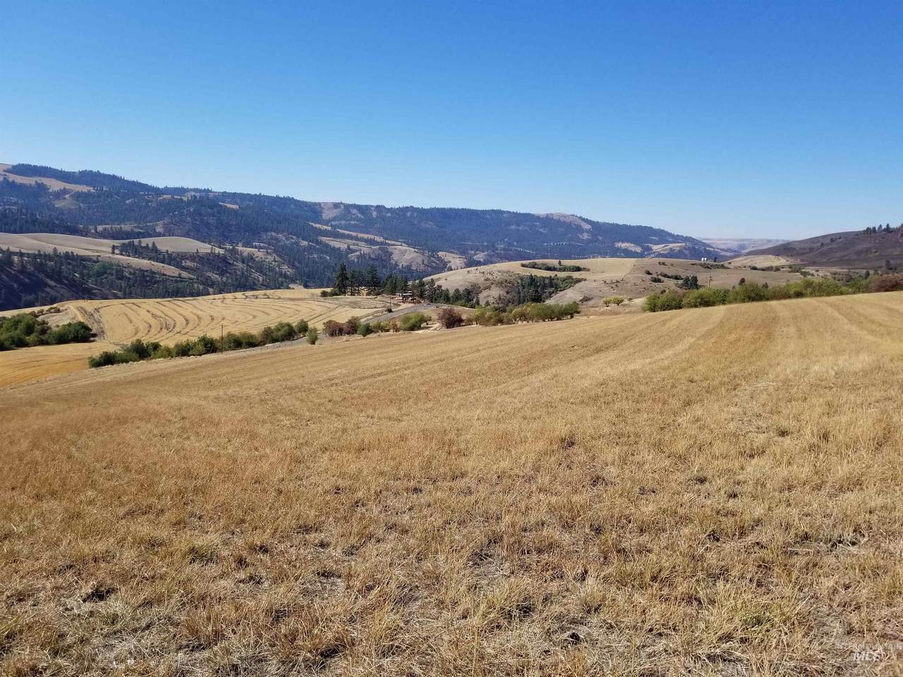 TBD Sunnyside Bench Road - Photo 1