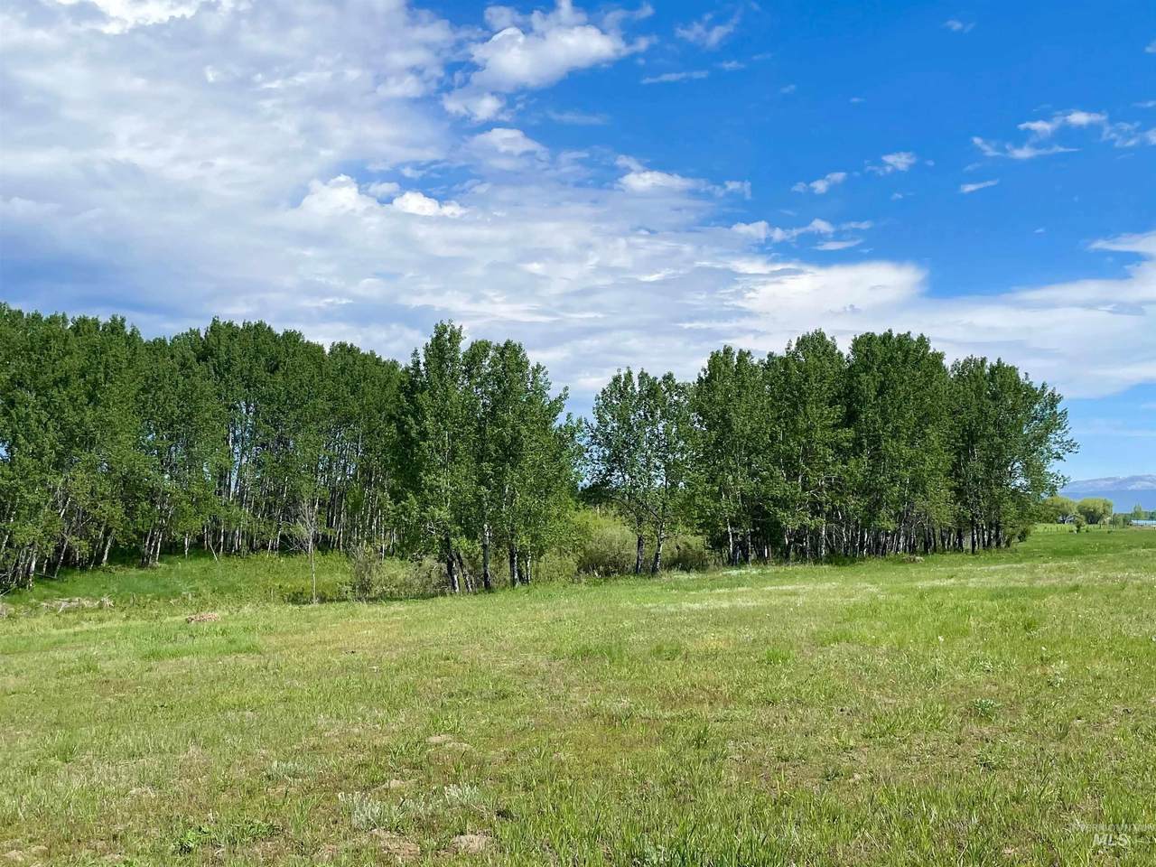 13915 Sky View Ct - Photo 1