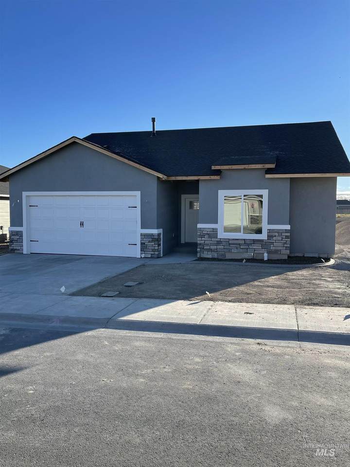 1393 Golden Pheasant - Photo 1