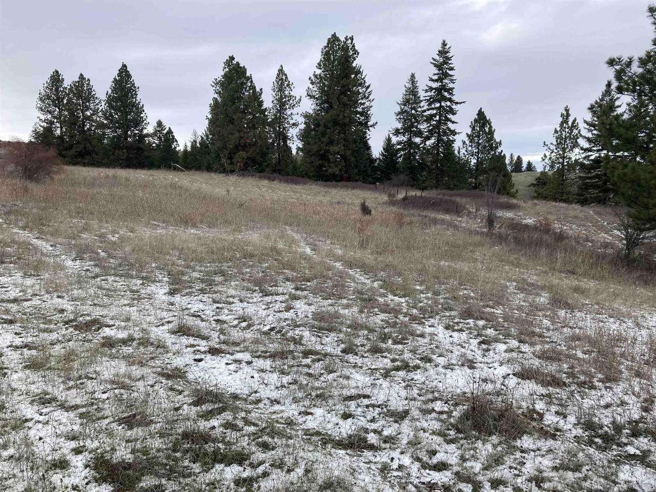 TBD Mule Deer Rd. - Photo 1