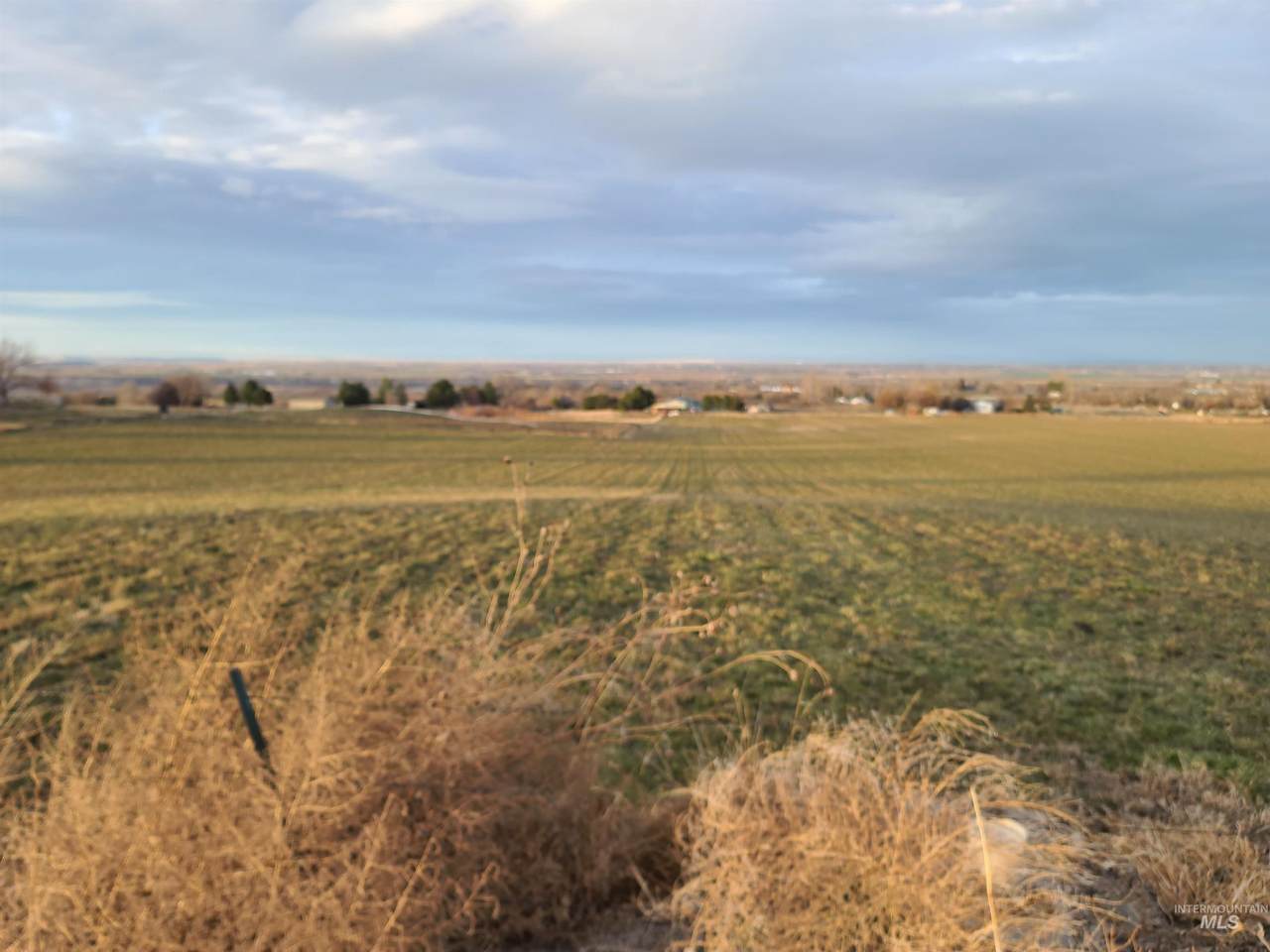 1500 4375 - Photo 1