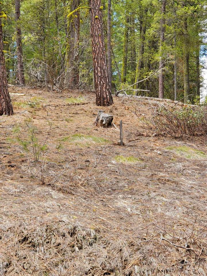 161 Little Donner Dr. - Photo 1