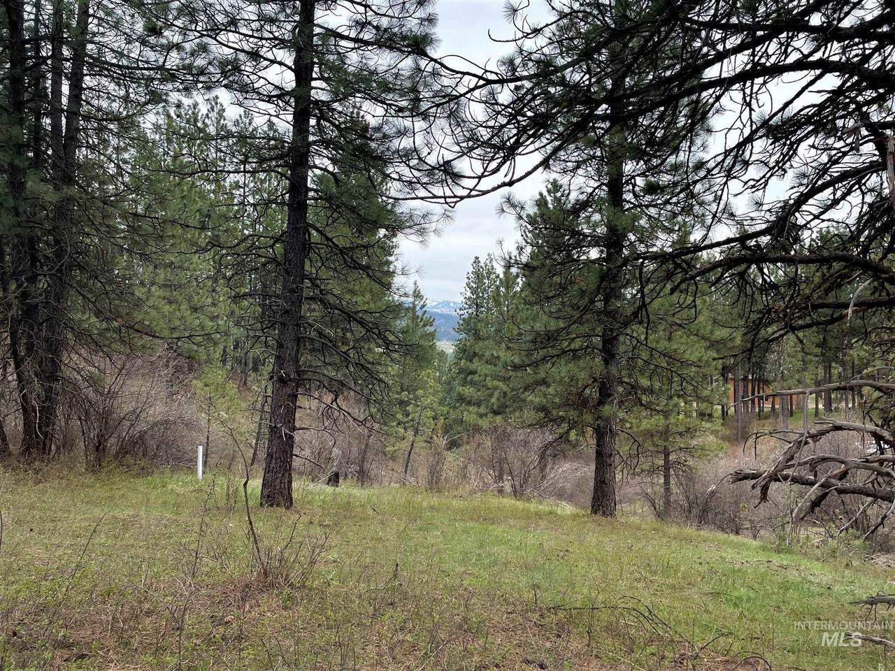 TBD White Pine - Photo 1