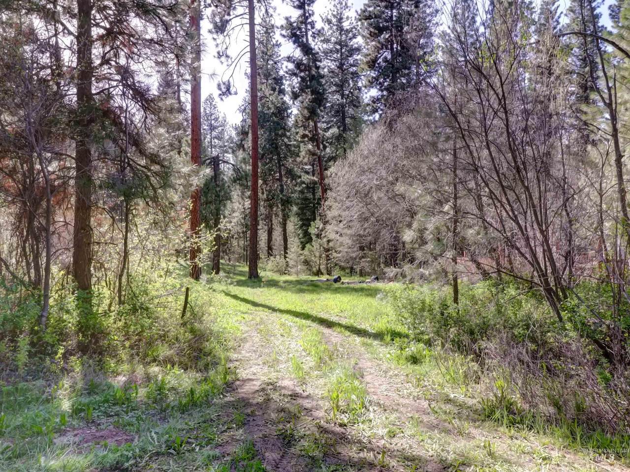 0 Golden Trails - Photo 1