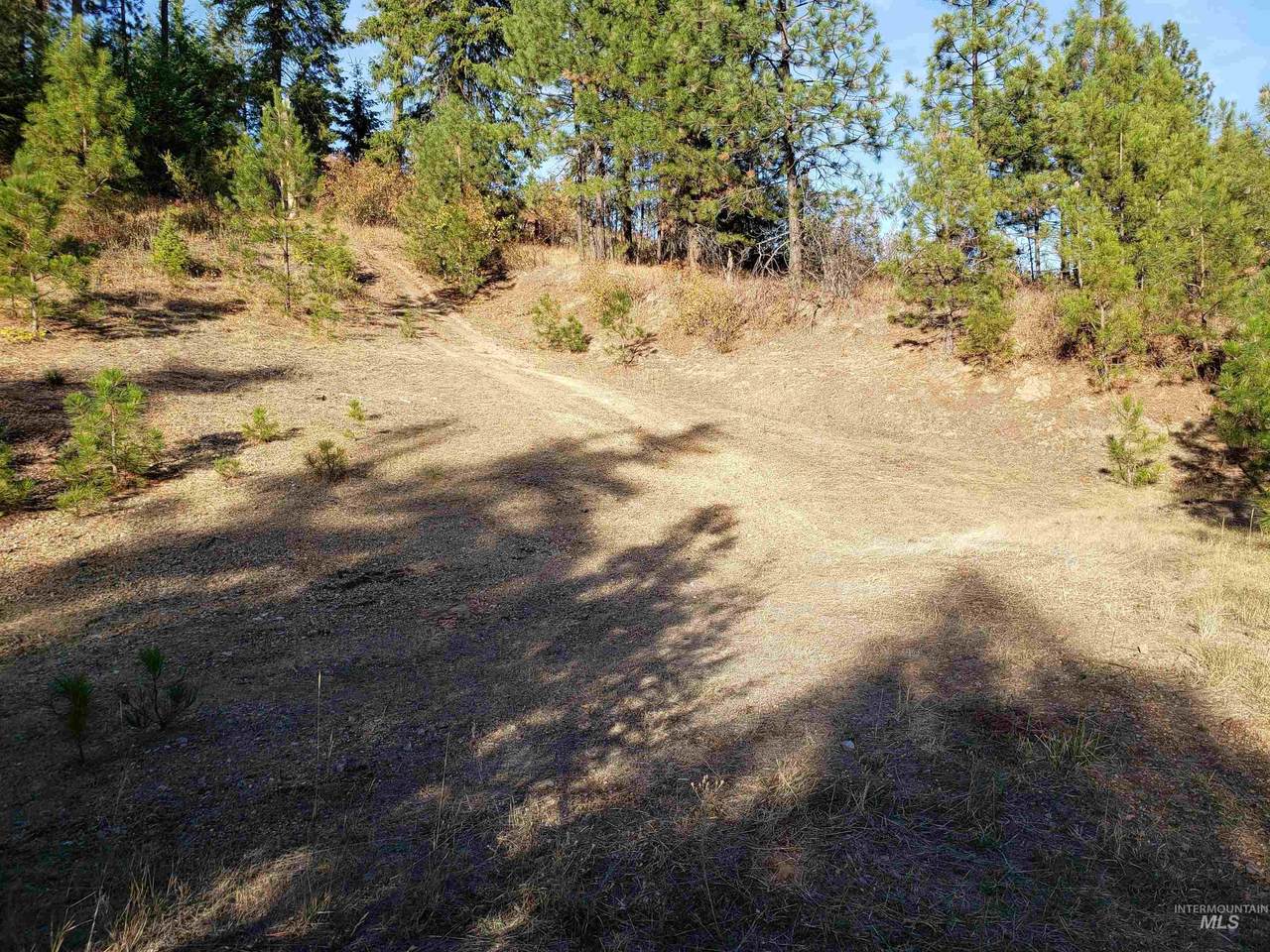 NKA Montana St. - Photo 1