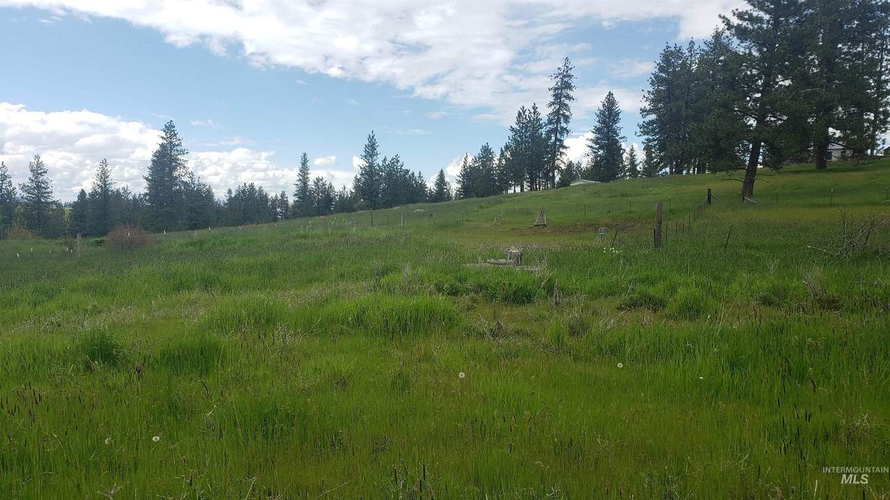 3 Dorman Rd - Photo 1