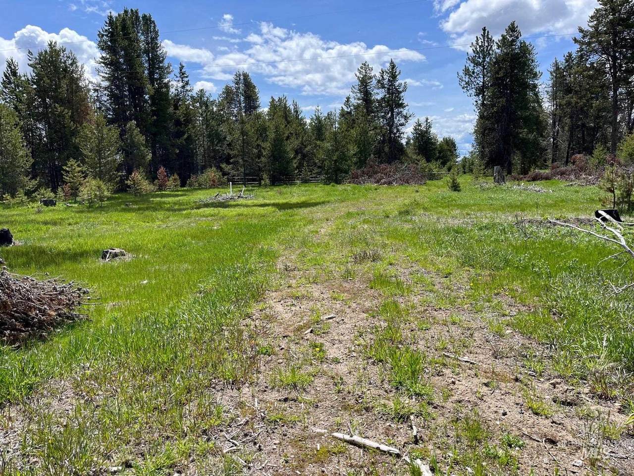 13480 & TBD Gunsmoke Rd - Photo 1