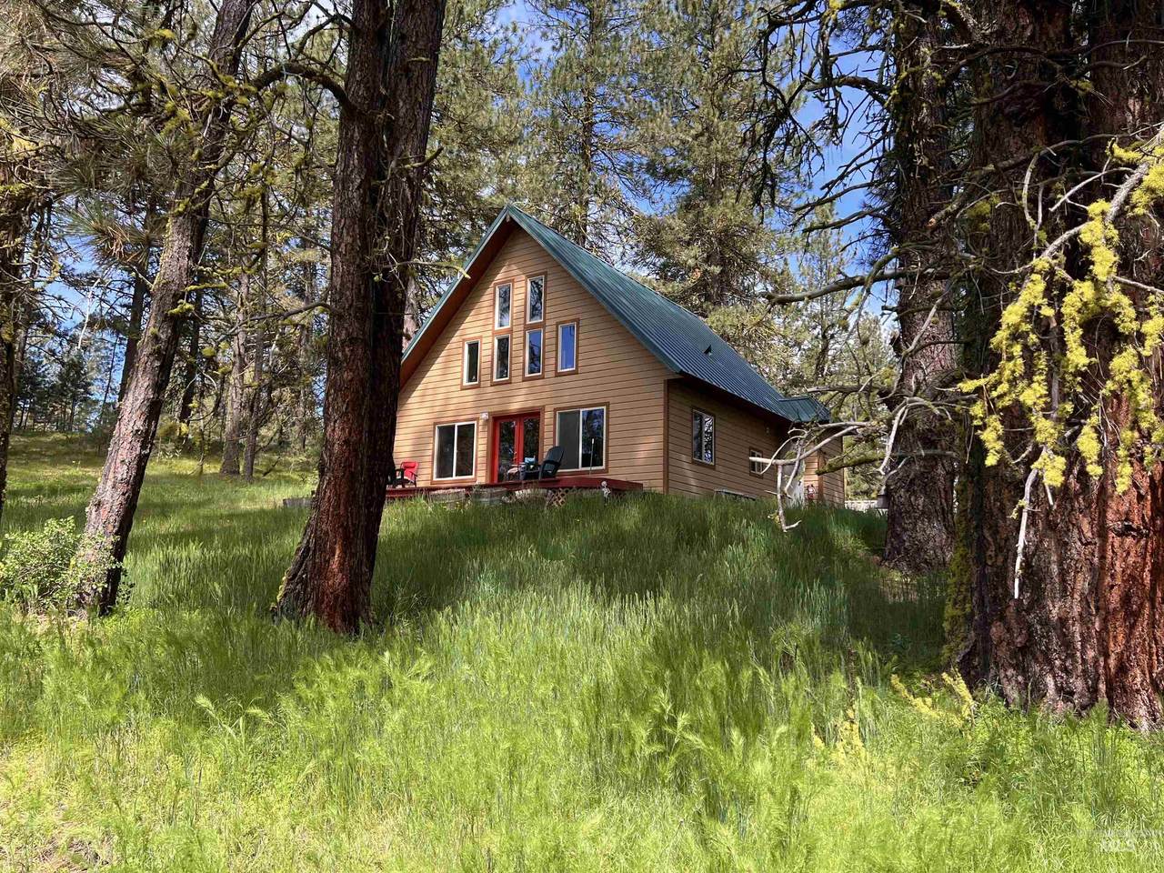 141 Drybuck Rd - Photo 1