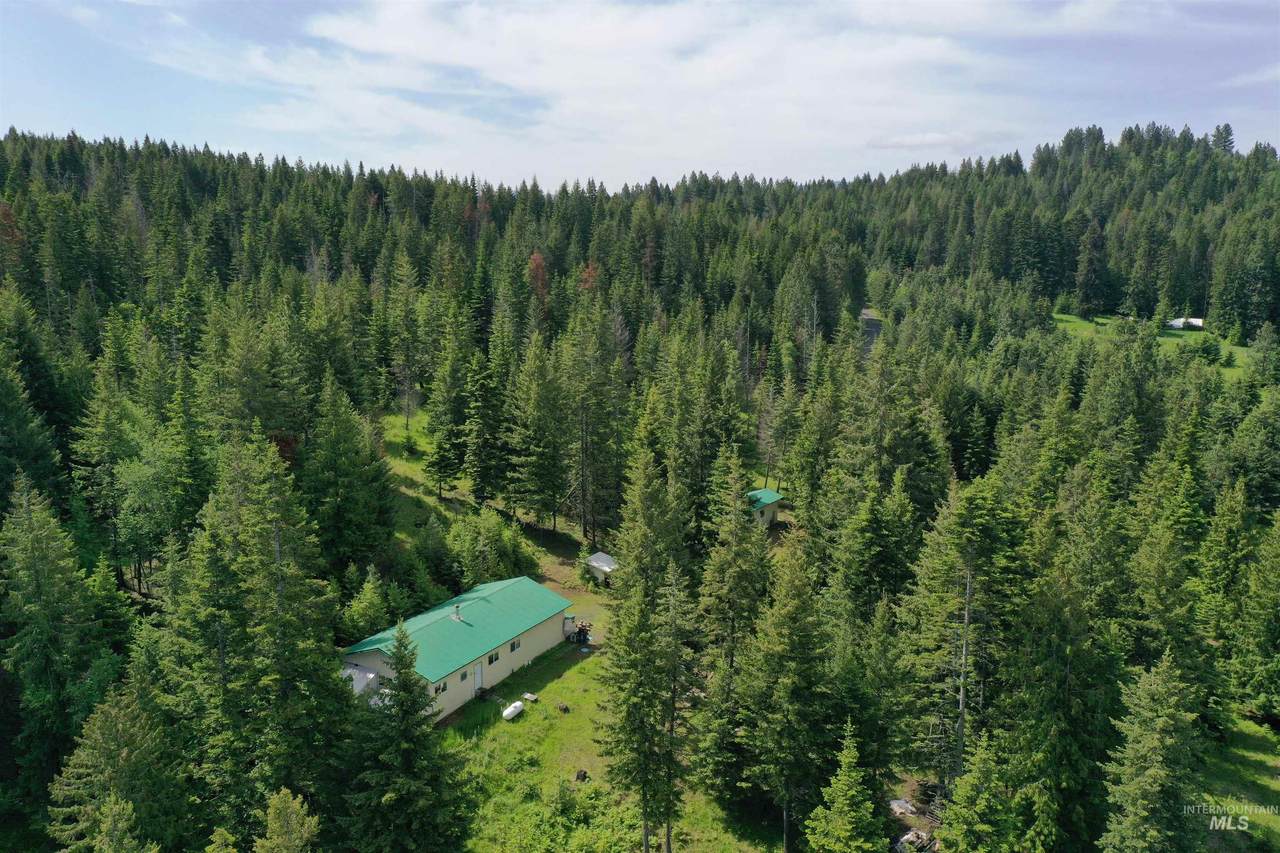 407 Crane Hill - Photo 1