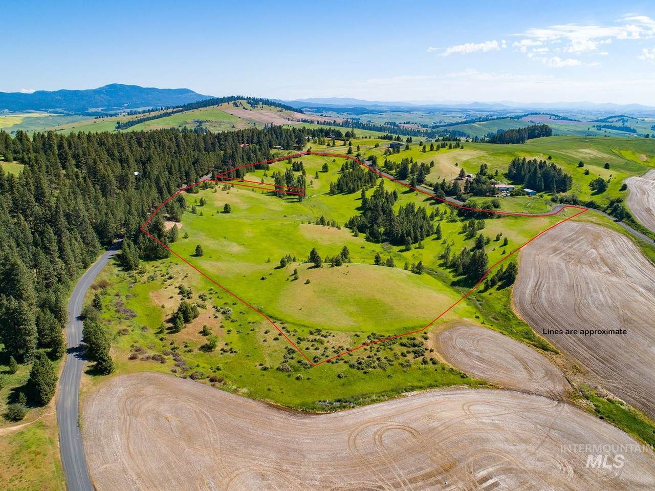 TBD Iverson Loop Road - Photo 1