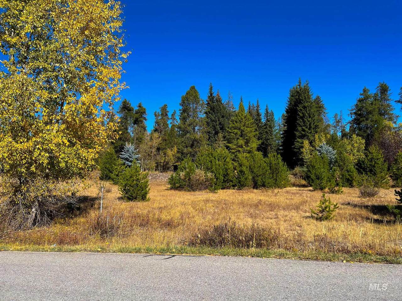 1013 Kaitlyn Loop - Photo 1