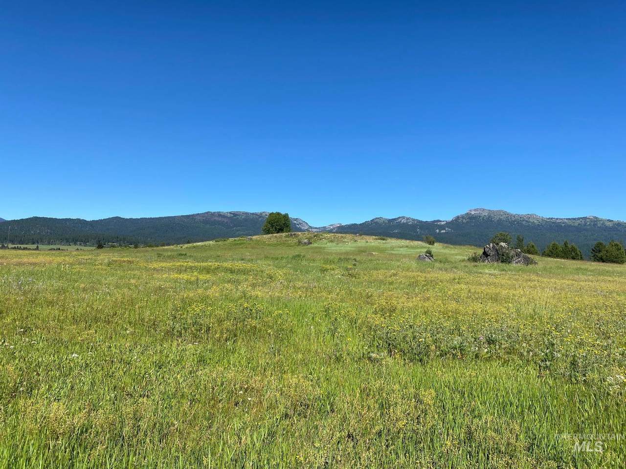 TBD Country Way - Photo 1