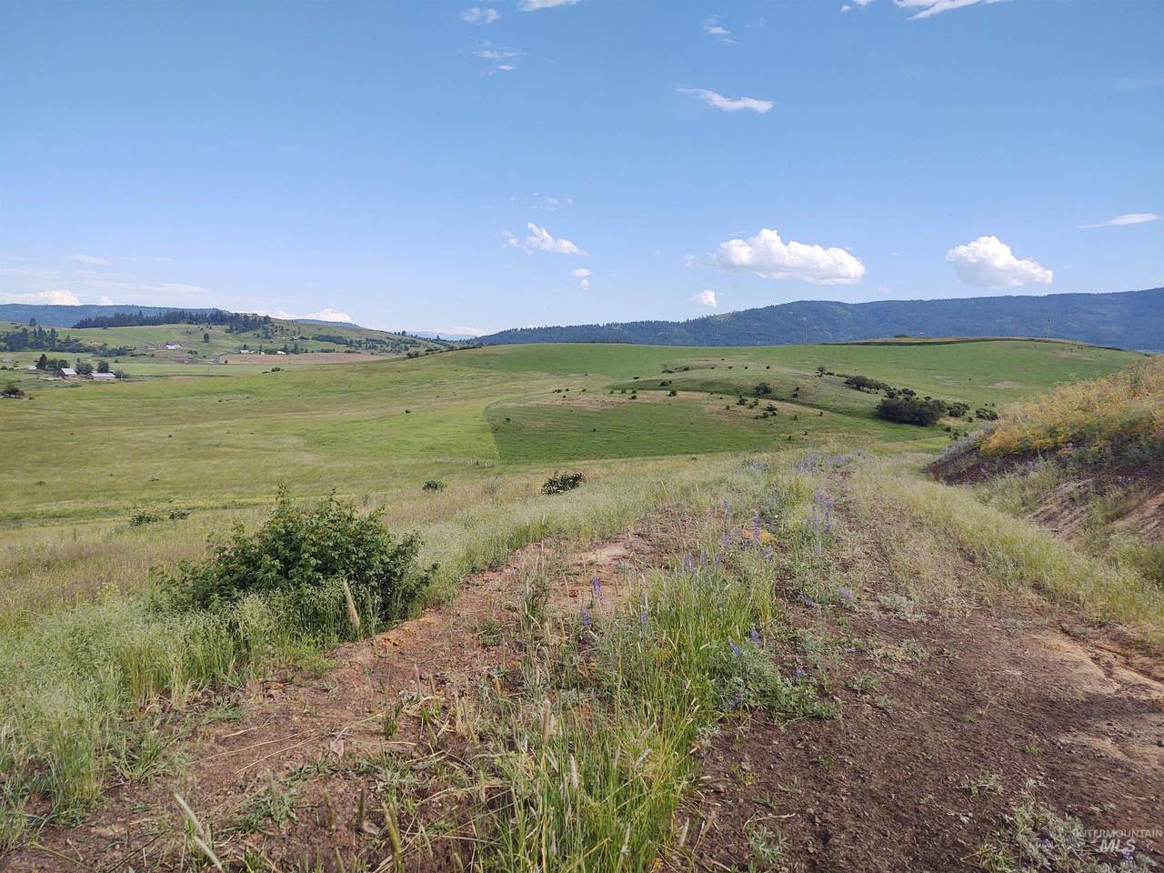Lot 6 Zwingli Road - Photo 1