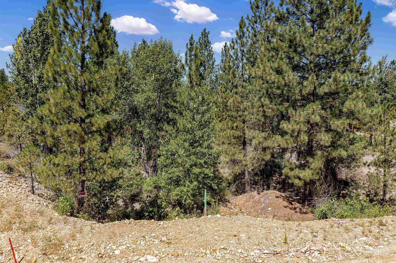 Lot 51 Lily Loop - Photo 1