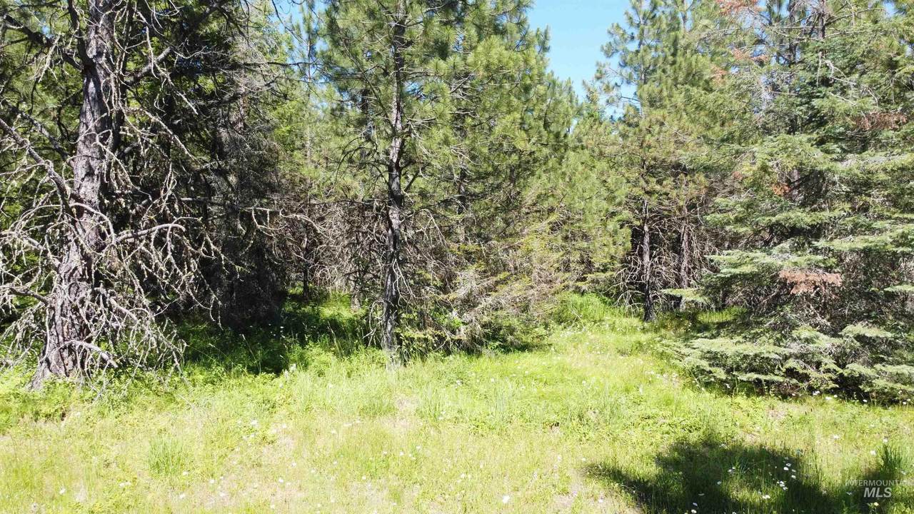 TBD Hjalmer Johnson Rd. - Photo 1