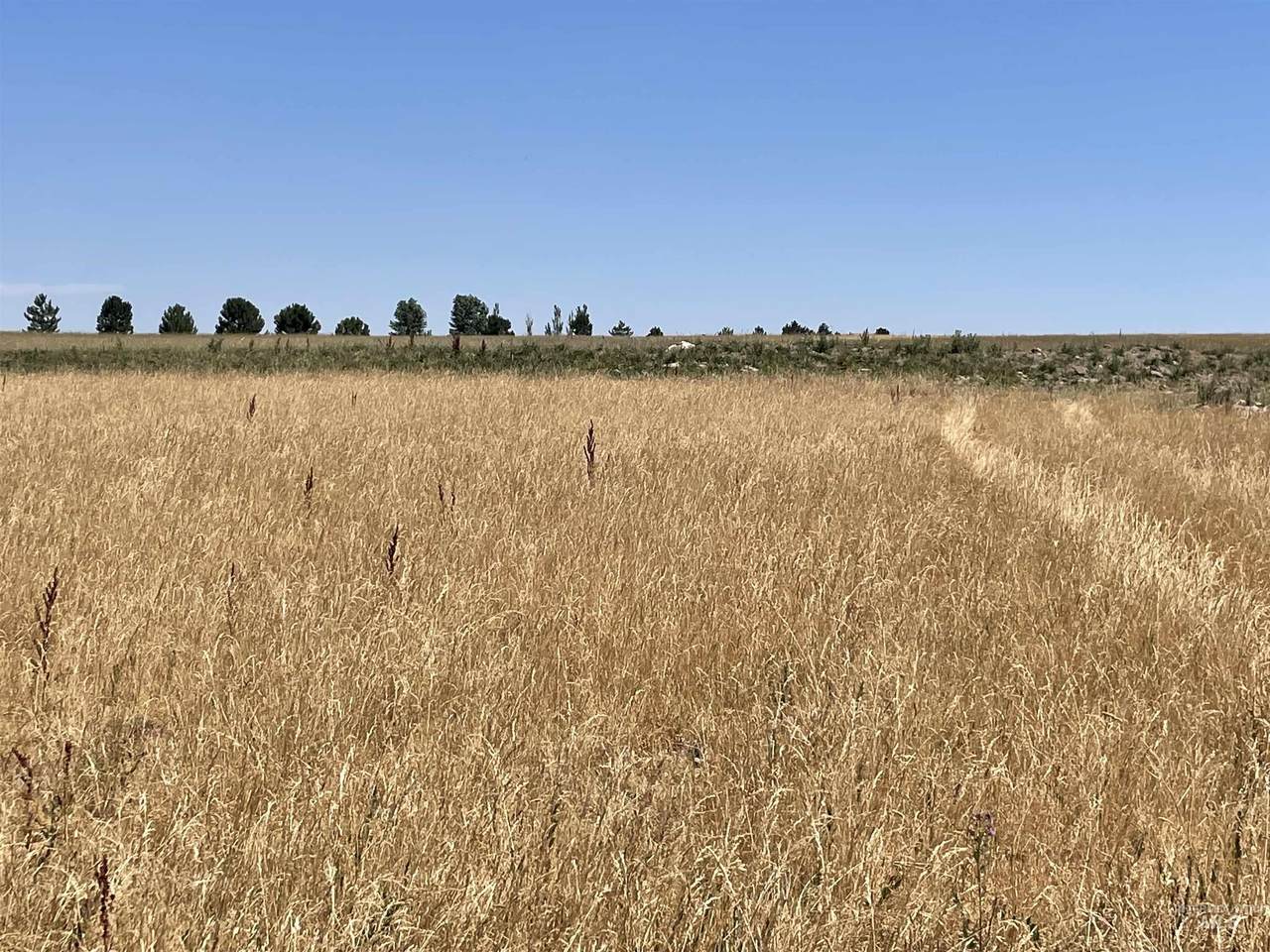3738 1910 E Land Parcel - Photo 1